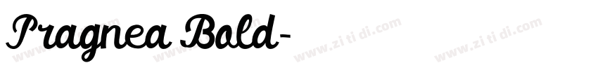 Pragnea Bold字体转换 Pragnea Bold字体转换